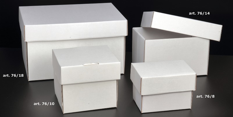 set di 2 scatole per cavi piccole, 23,5 x 11,5 x 12 cm, bianco - PEARL